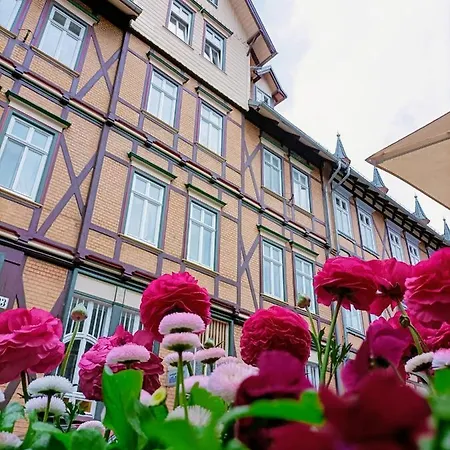 Apartment Bergsteigerbude *